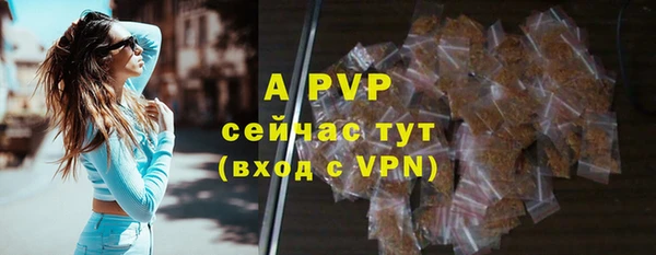 амф Богданович