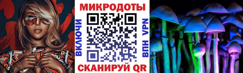 сайты даркнета как зайти  закладка  Дмитриев  Псилоцибиновые грибы Psilocybe 